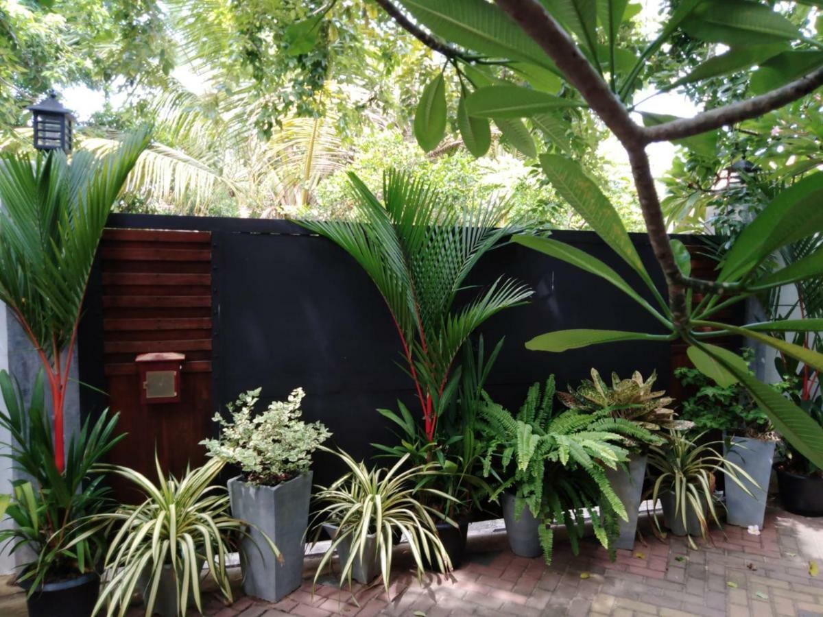 Lija Residence Negombo Exteriör bild